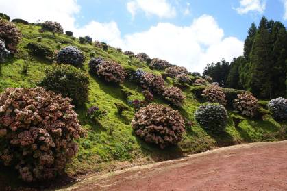 13938242_10101748488587261_5979055965471733948_o