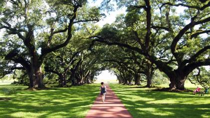 979837_10100523544714601_1176292042_o