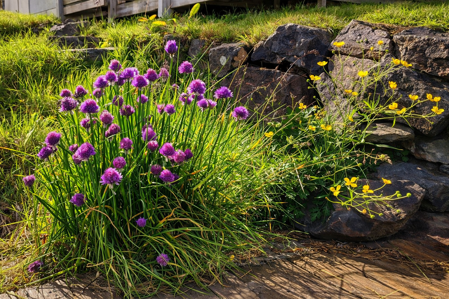 PXL_20220806_093618280 (1)